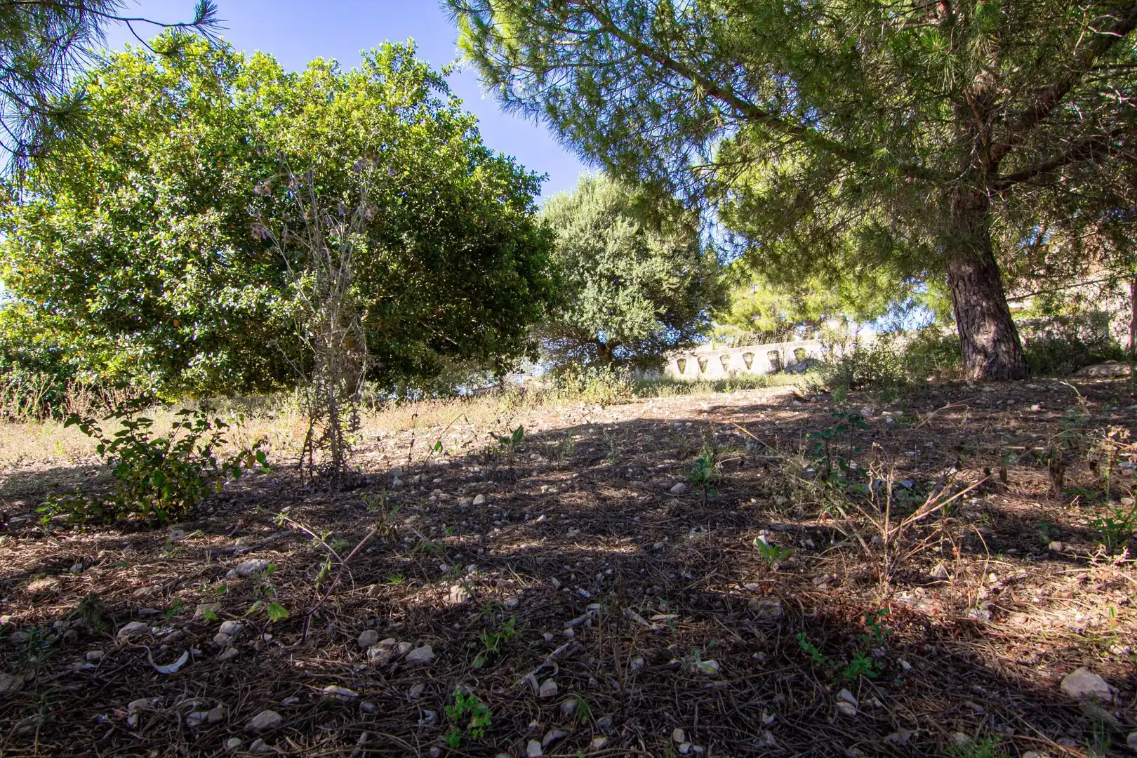 Casa rústica en venda a Porreres a Sant Joan, imagen 22