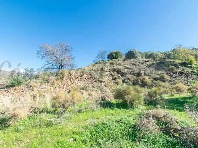 Terreni e lotti in vendita a Torrox Pueblo, imagen 2