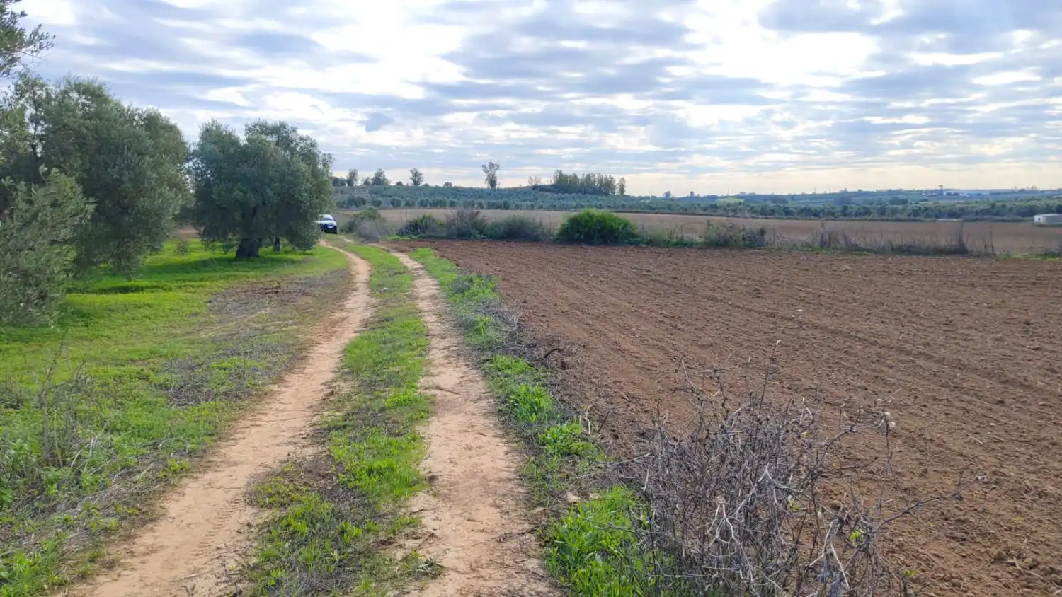 Maison rustique à vendre à Gibraleón, imagen 3