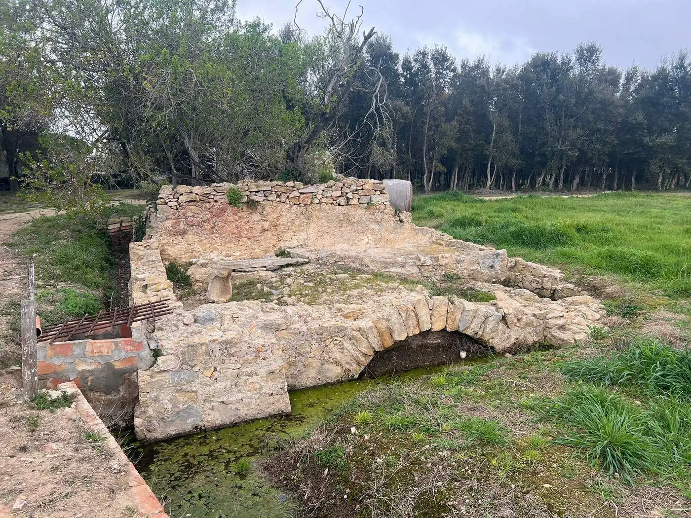 Vista exterior de Finca rústica en venda en Palafrugell amb Aire condicionat, Calefacció i Jardí privat