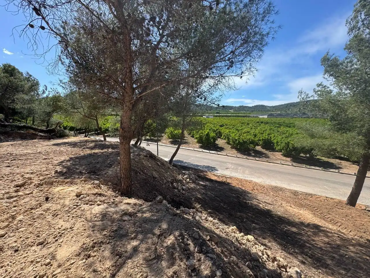 Terrenos y solares en venta en Calle Calle Salzes, imagen 20