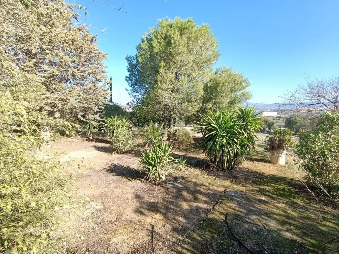 Casa rústica amb jardí en venda a Centro, imagen 30