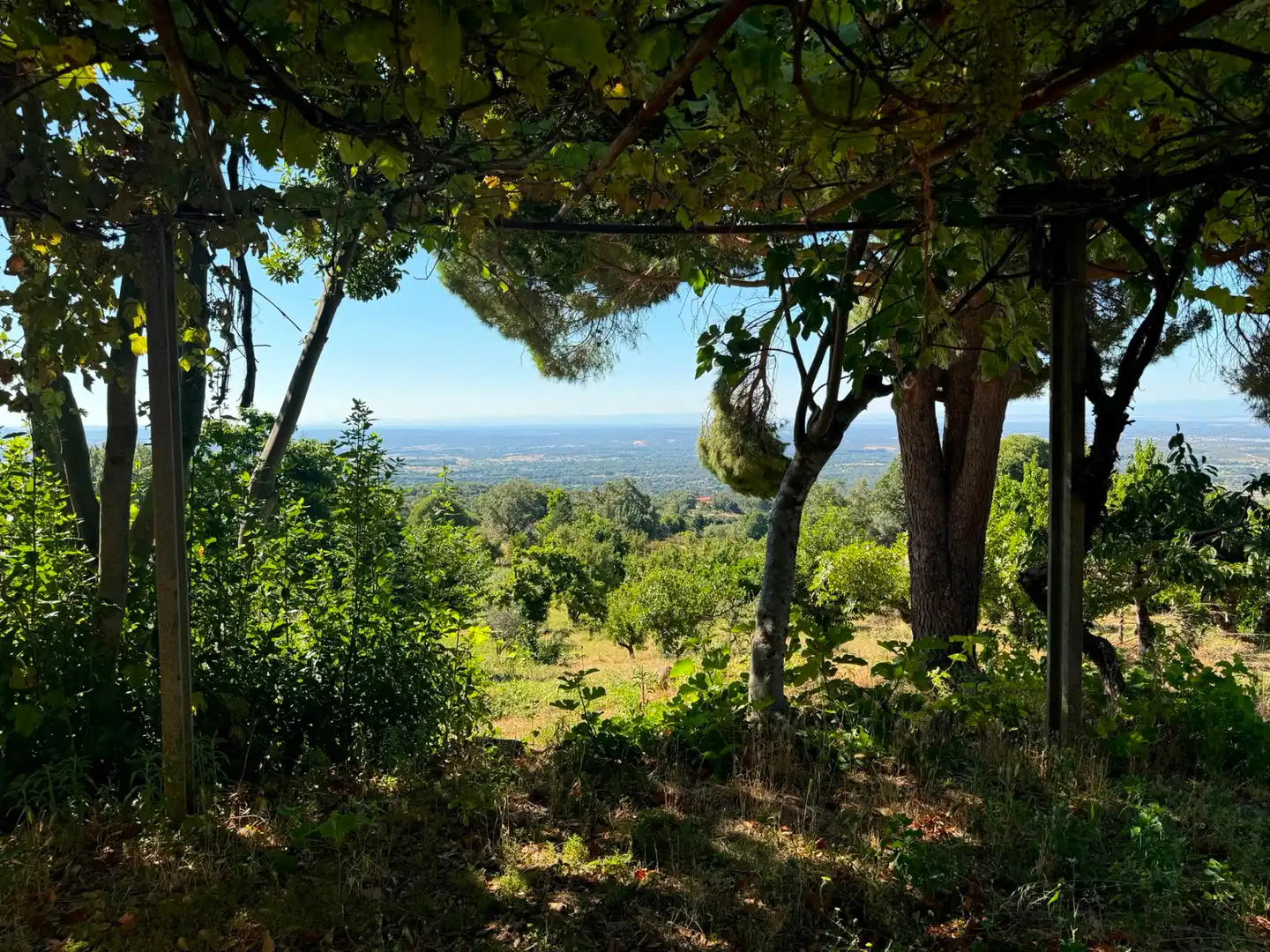 Terreni e lotti in vendita a Candeleda, imagen 5
