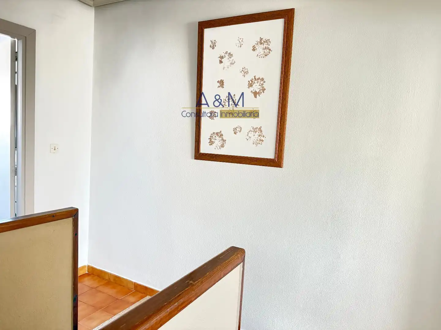 Maison mitoyenne à vendre à Cantaelgallo, imagen 18