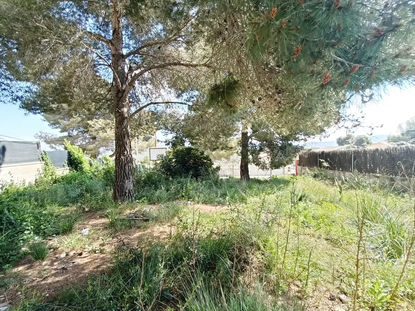 Terreno residencial en venta en Carrer CAMI DE LA VALL 3, imagen 4