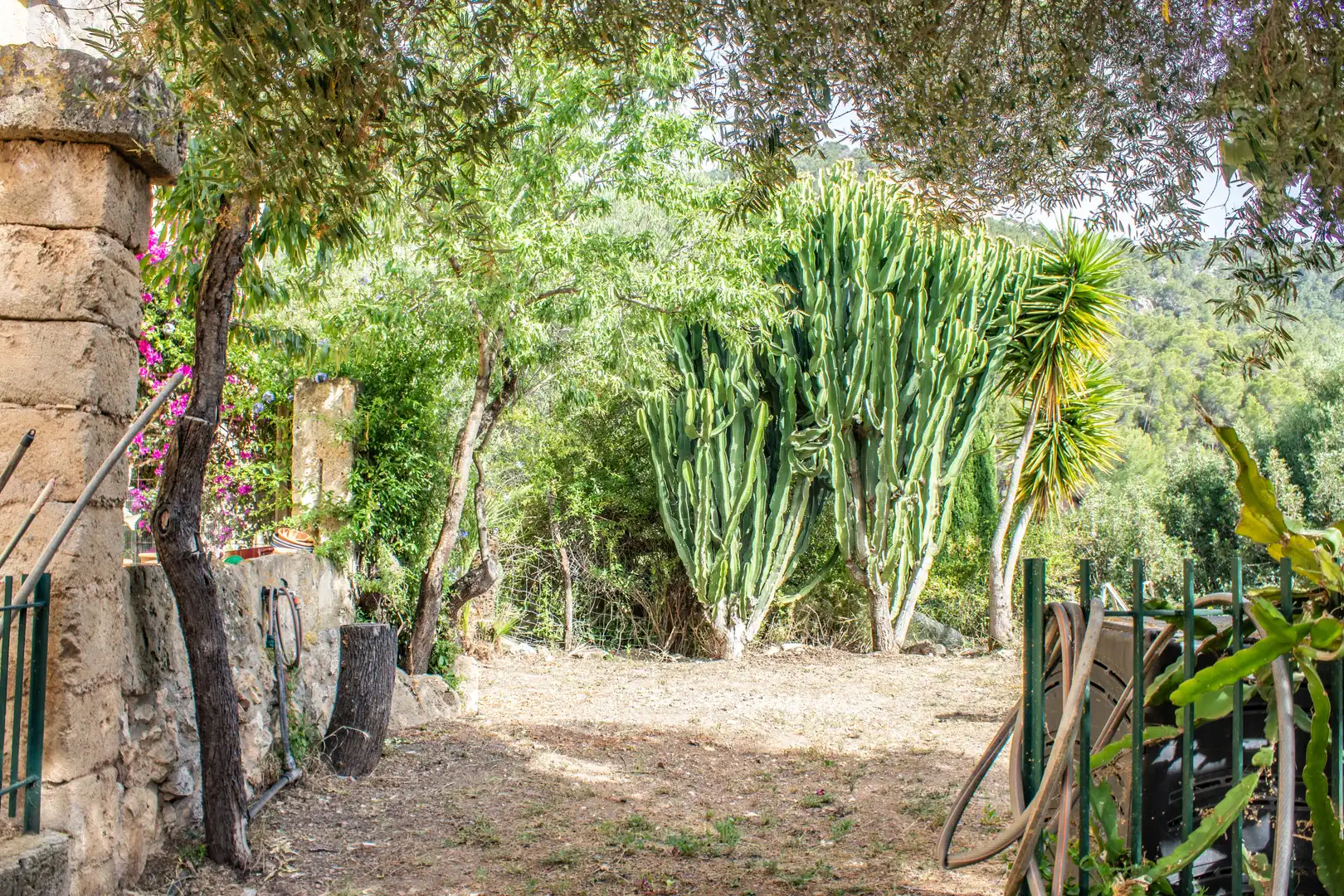 Maison rustique à vendre à Andratx pueblo, imagen 15