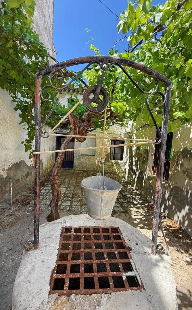 Garden of Detached homes for sale in Alfarnate  with Private garden and Terrace