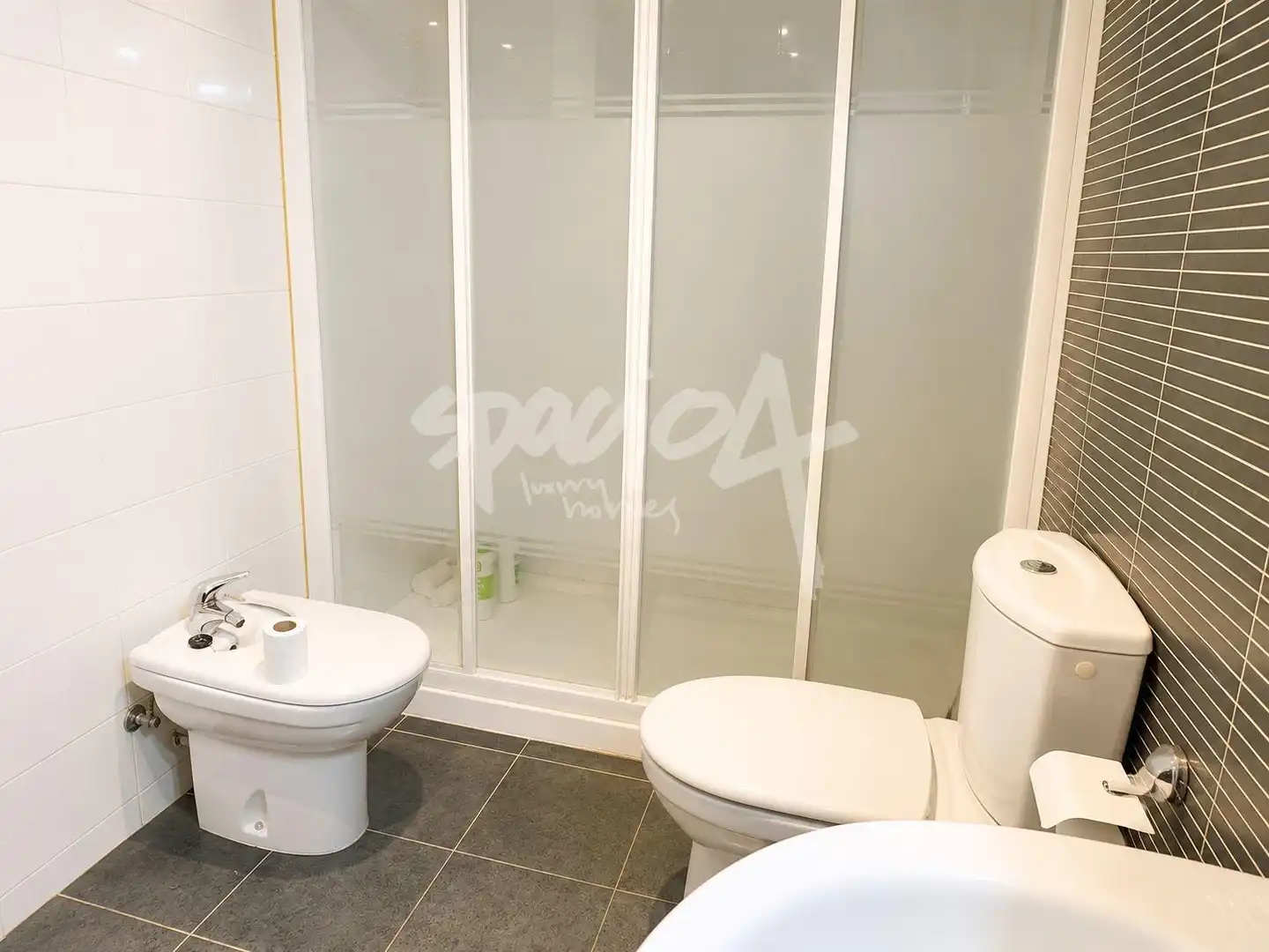 Penthouse with lift for sale in CARINYENA, imagen 18