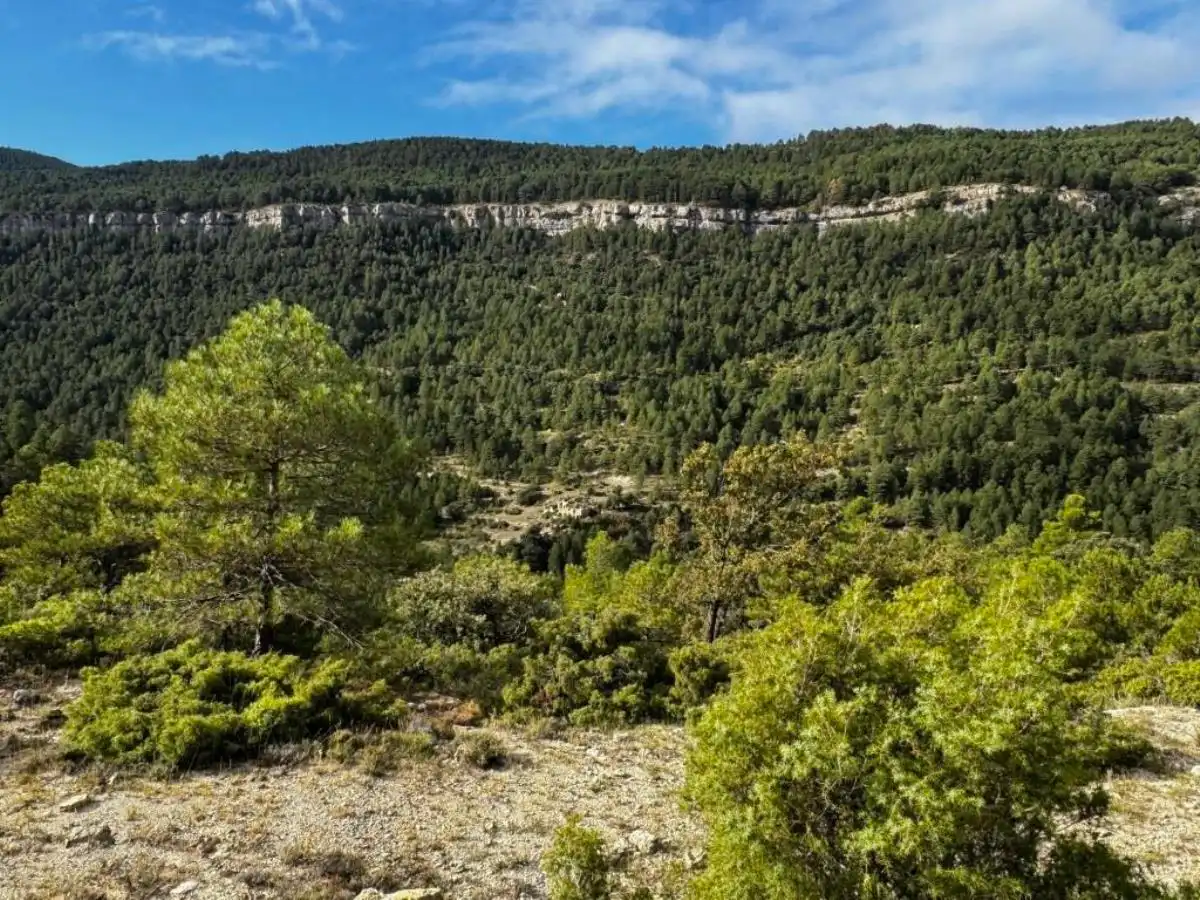 Terreni e lotti in vendita a Beceite, imagen 15