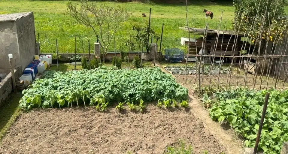Casa a schiera con giardino in vendita a Glorieta Ferreira, imagen 55