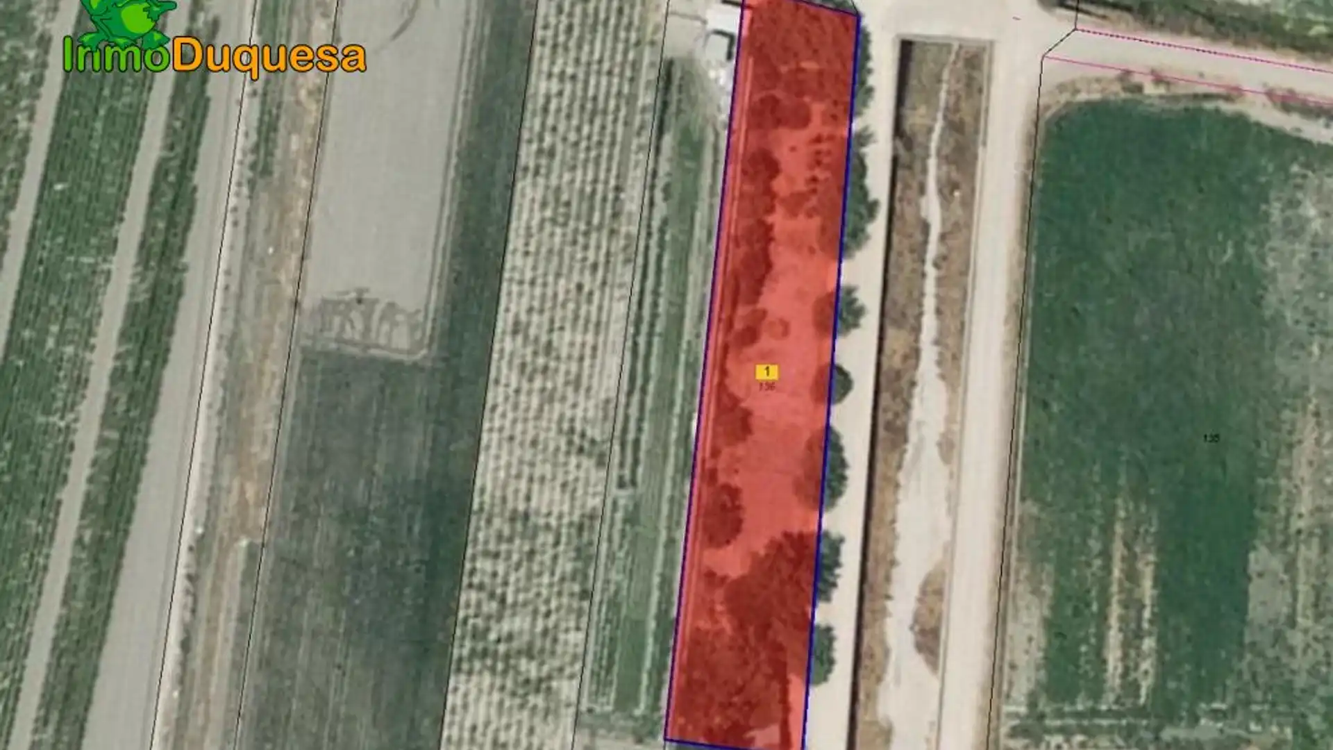 Finca rústica en venta en Chauchina