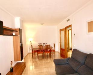 Sala d'estar de Apartament en venda en Amposta