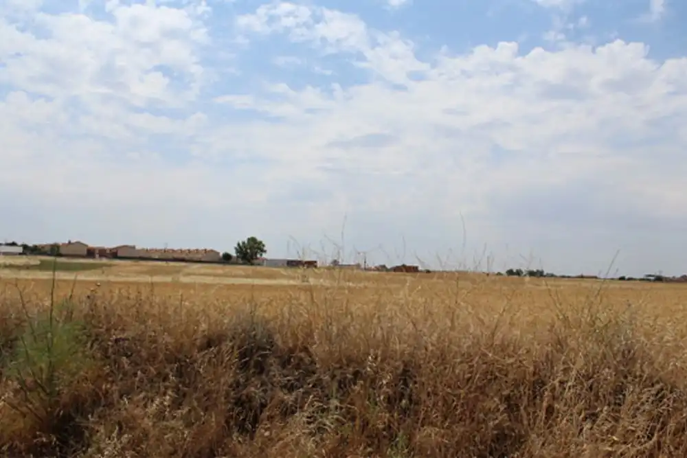 Terreni e lotti in vendita a Urbanización Ua 5-1, imagen 6