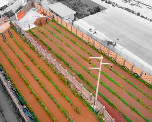 Garden of Residential for sale in Candelaria