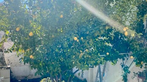 Photo 3 of Planta baja for sale in Can Palet, Terrassa