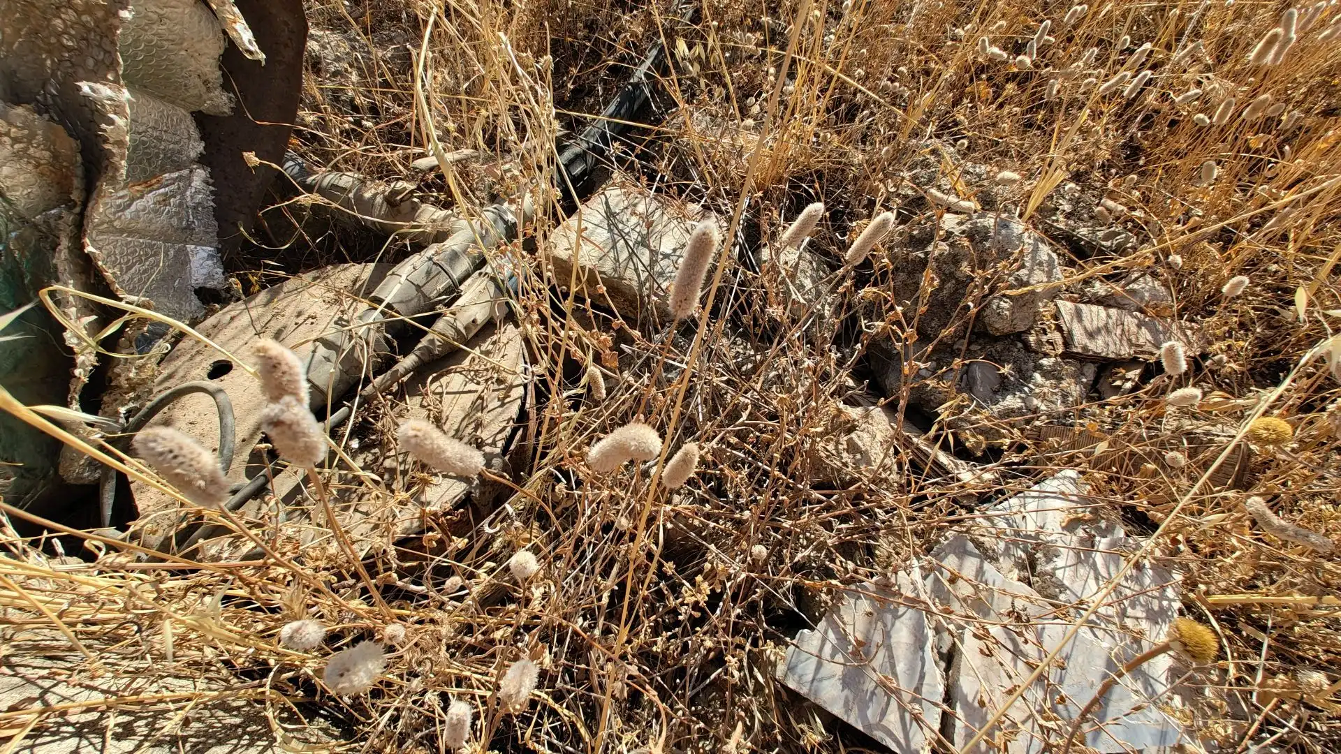 Terreno rustico in vendita a Aljancira, imagen 42