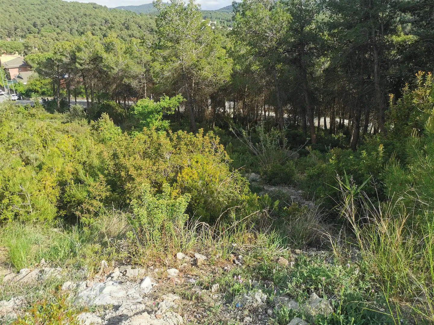 Residential land for sale in Carrer Noguera 12, imagen 2