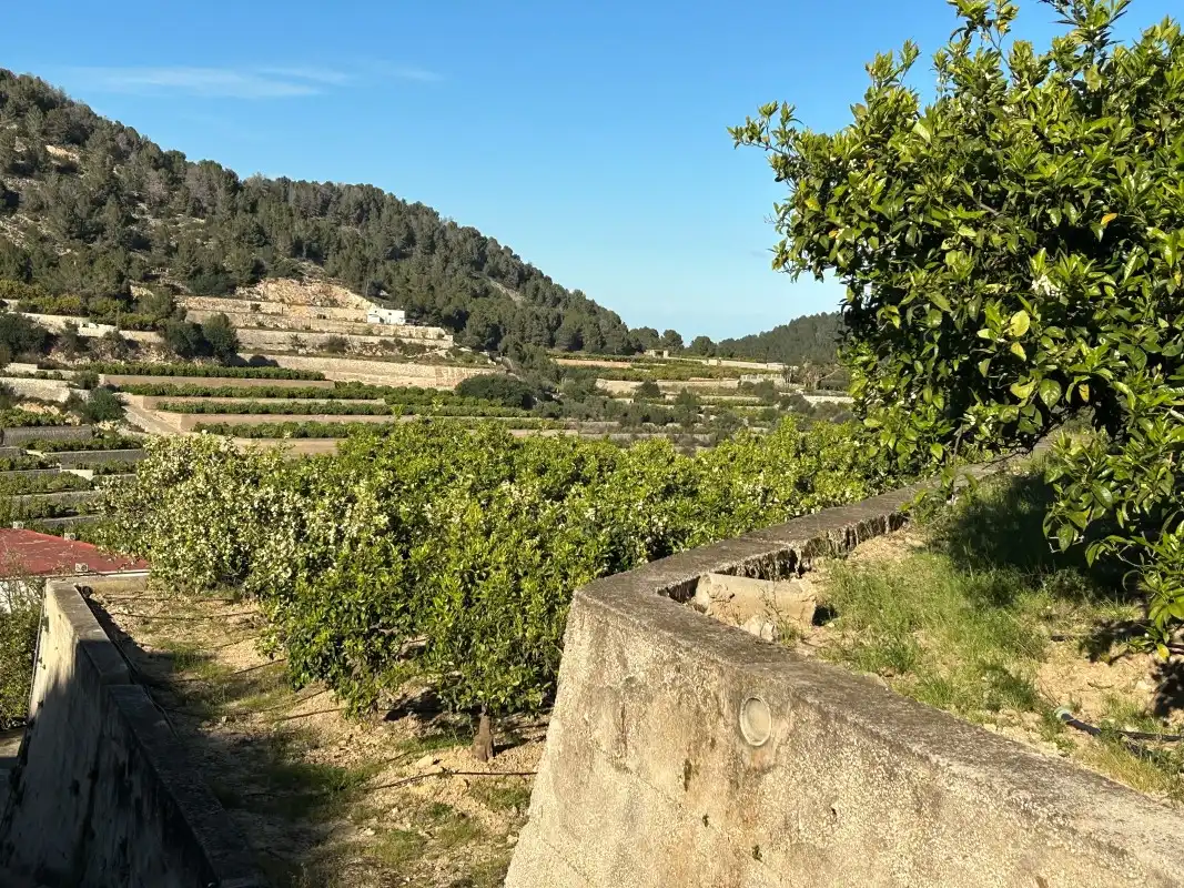 Vista exterior de Finca rústica en venda en Oliva amb Moblat