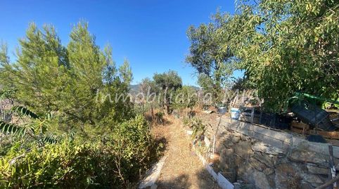 Foto 4 de Casa o xalet en venda a Residencial Jardín Botánico, Málaga Capital