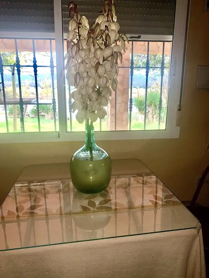 Casa rústica en venda a Peñarroya-Pueblonuevo, imagen 9