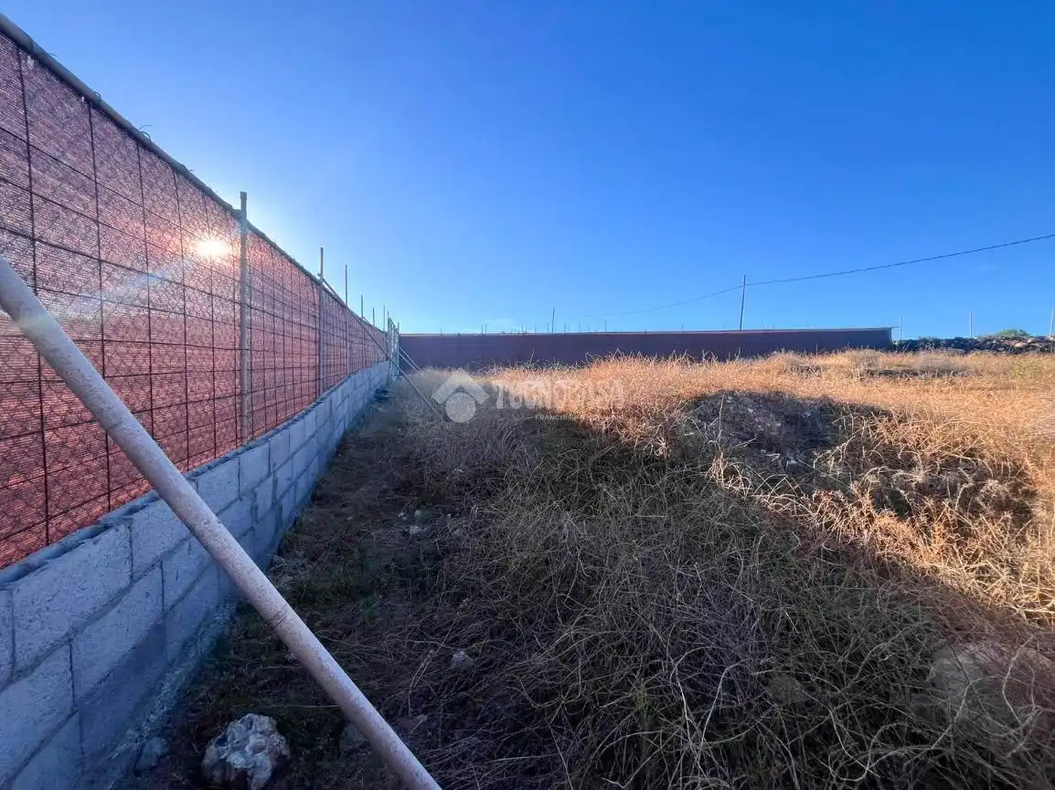 Rural land for sale in Ingenio pueblo, imagen 7