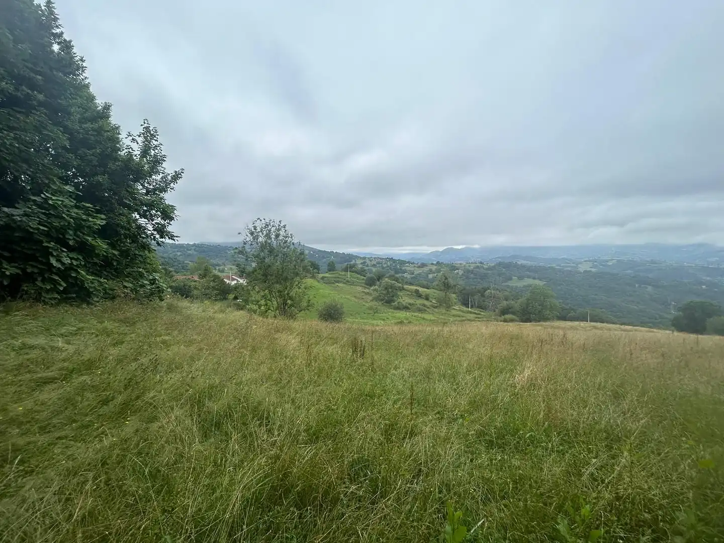 Terrenos y solares en venta en Parres, imagen 14