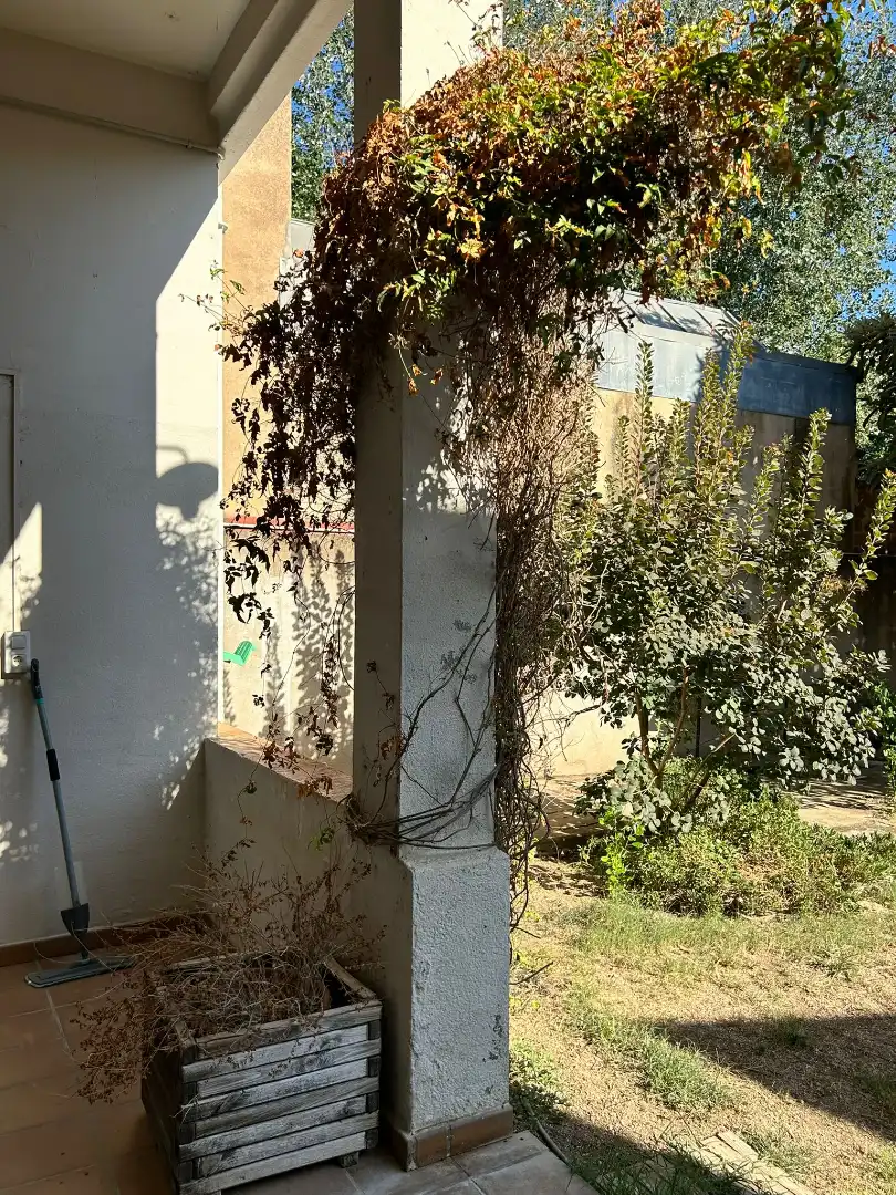 Exterior view of Houses for rent in Bordils  with Heating, Private garden and Terrace