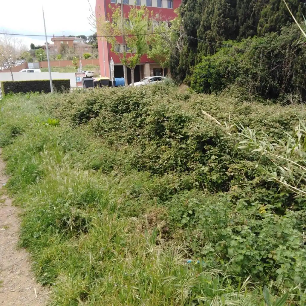 Rural land for sale in PUNXA, imagen 6