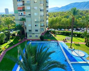 Piscina de Pis de lloguer en Benidorm