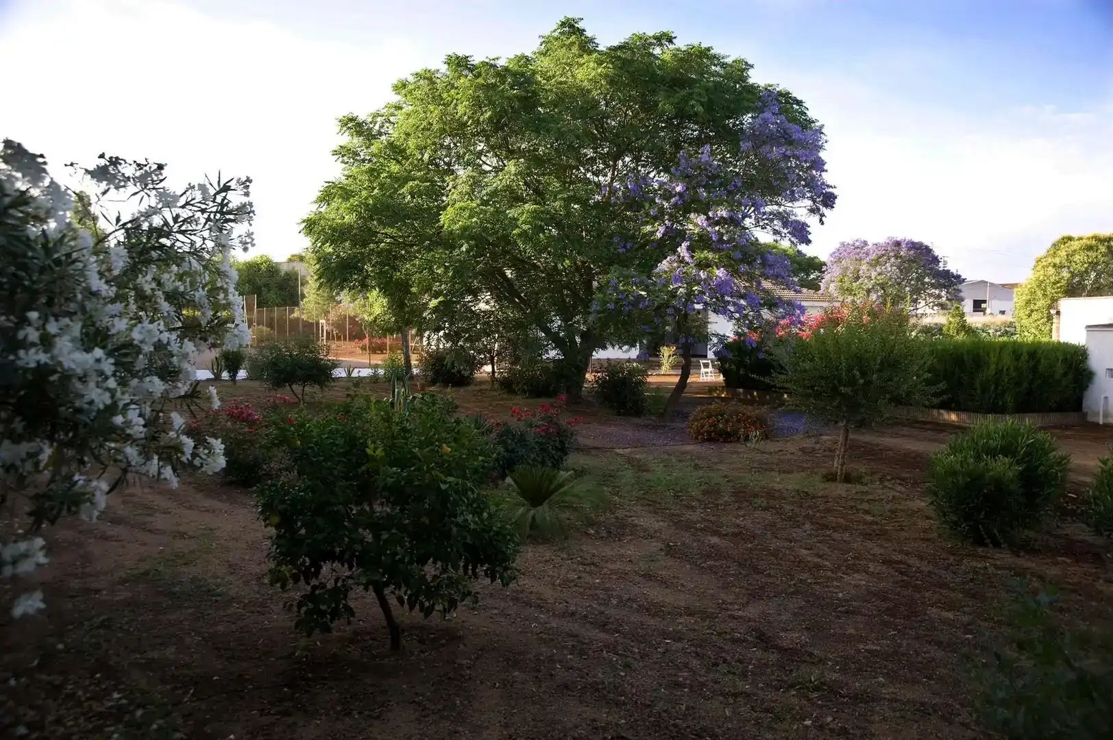 Jardí de Casa o xalet en venda en Carmona amb Aire condicionat, Jardí privat i Traster