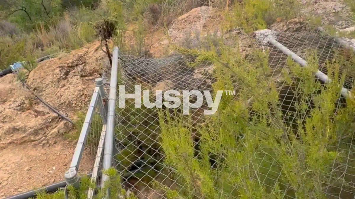 Terreny industrial en venda a Vía Sin Nombre, imagen 43
