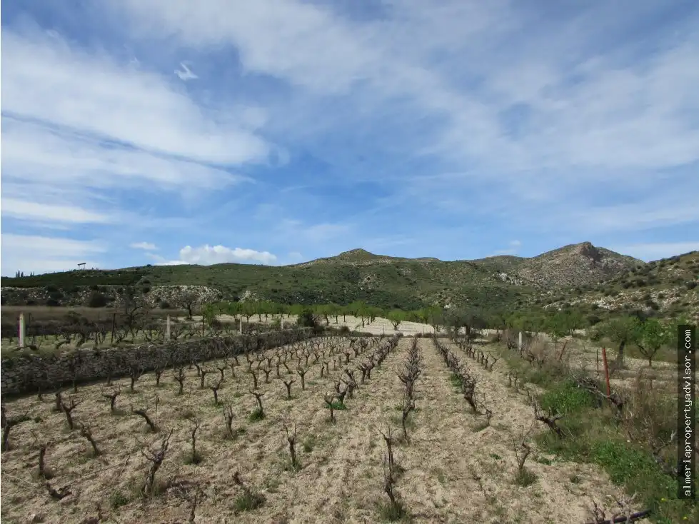 Country house for sale in Sorbas, imagen 9