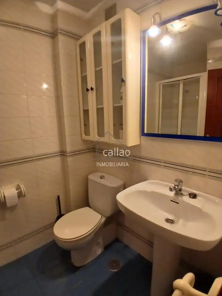 Bathroom of Flat for rent in Ferrol  with Heating, Parquet flooring and Furnished