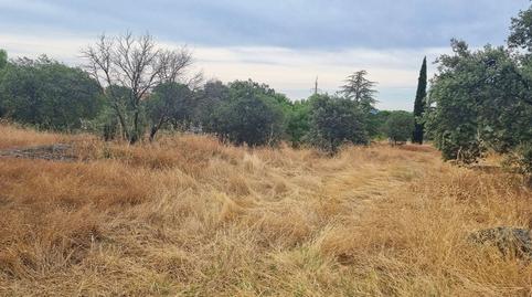 Foto 5 de Residencial en venta en Calle de Madrid, 21, Chapinería, Madrid