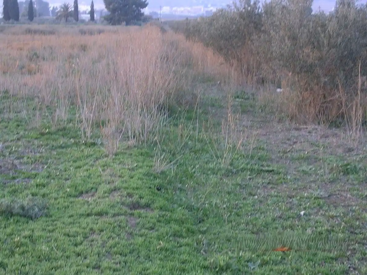 Terreni e lotti in vendita a Alhama de Murcia ciudad