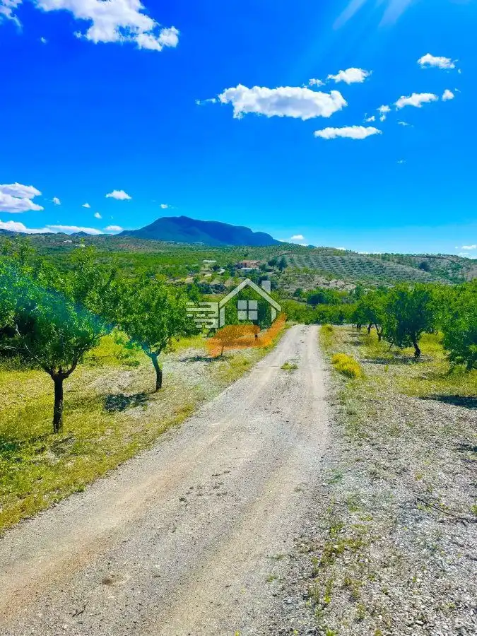 Residential land for sale in Vélez-Rubio, imagen 13