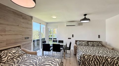 Foto 4 de Estudio de alquiler en Lomas de Cabo Roig - Los Dolses, Orihuela