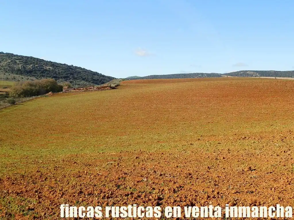 Terreno rustico in vendita a Centro - Plaza Mayor, imagen 3