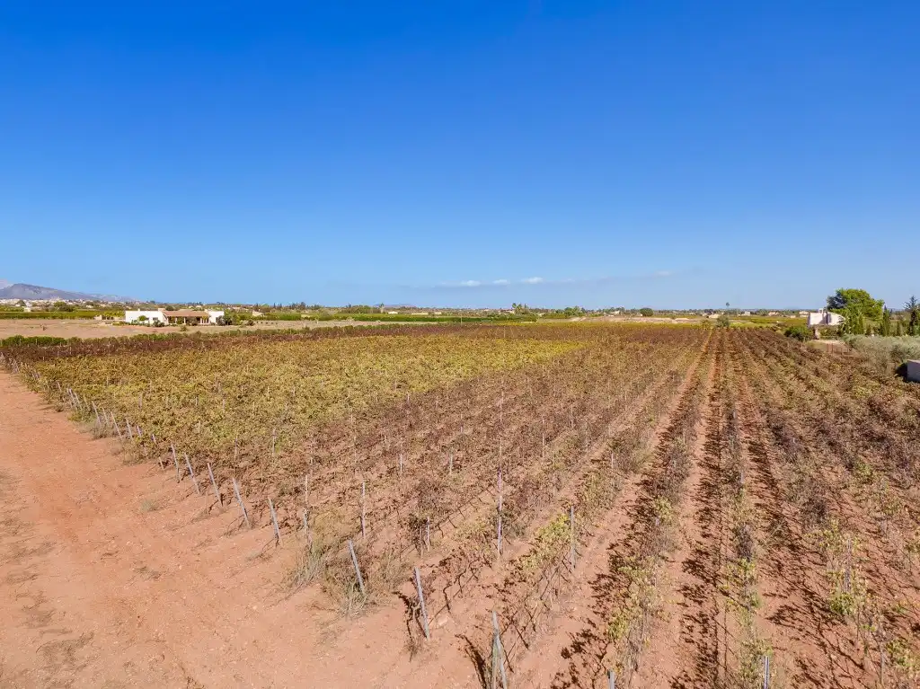 Terreny rústic en venda a Santa María del Camí, imagen 5