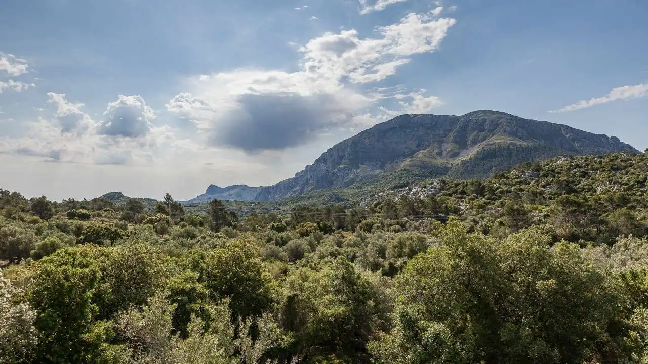 Finca rústica en venta en Escorca con Jardín privado, Terraza y Trastero