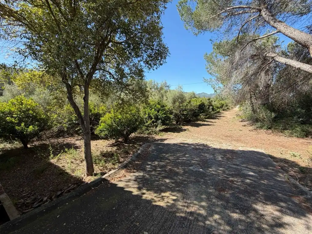 Maison rustique à vendre à Canals, imagen 6