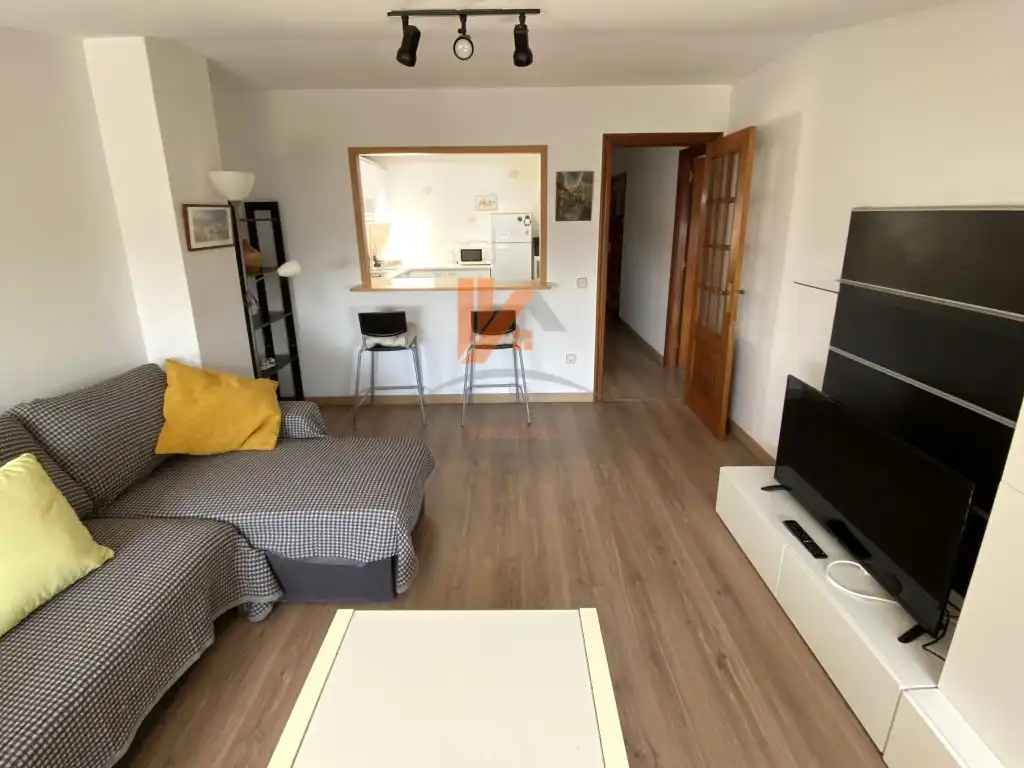 Sala de estar de Piso de alquiler en Santiago de Compostela  con Amueblado