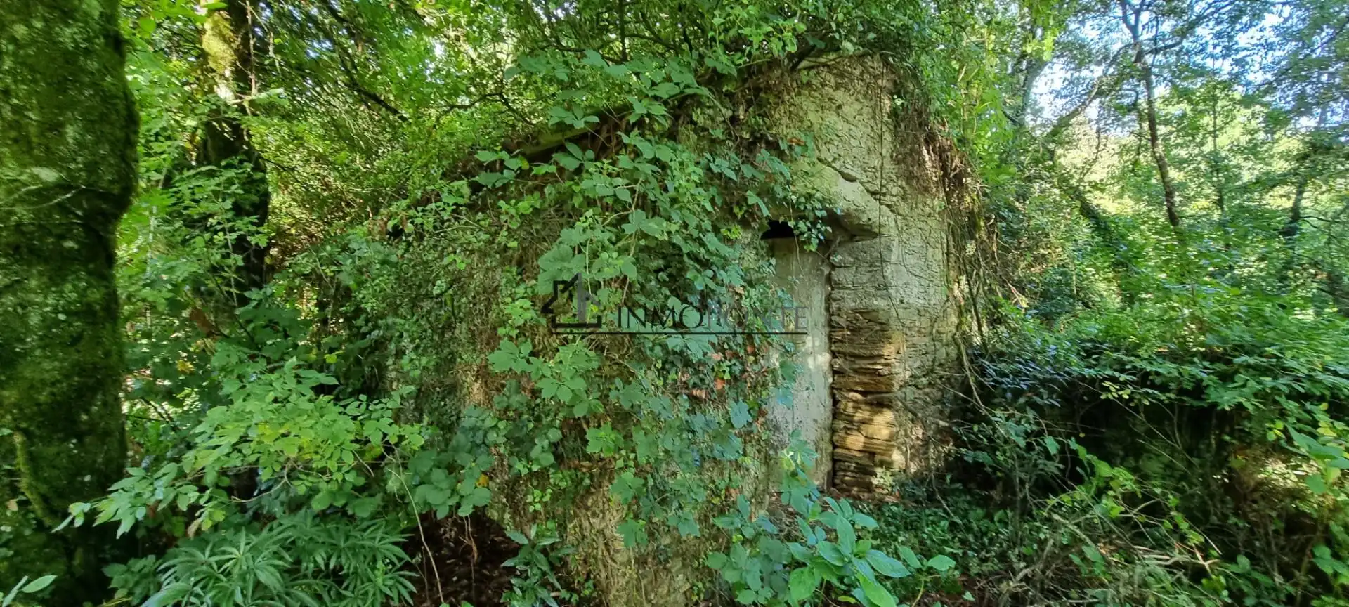 Haus mit Garten zum Verkauf in Forcarei, imagen 5