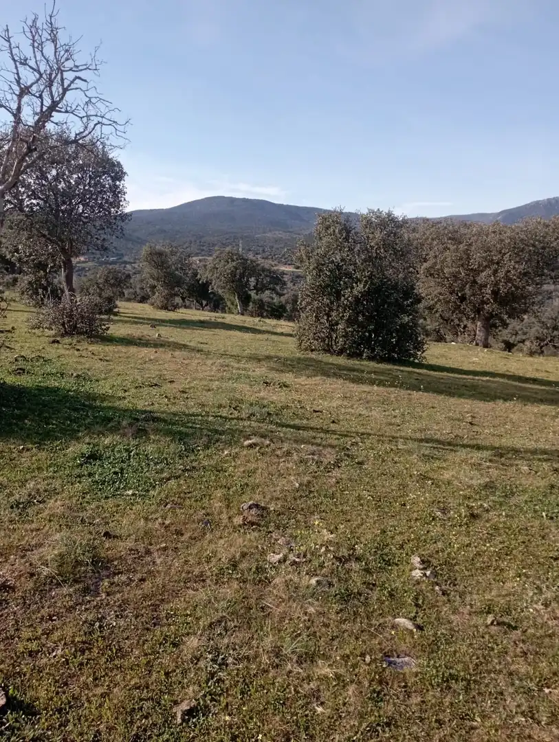 Terreni e lotti in vendita a San Román de los Montes, imagen 13