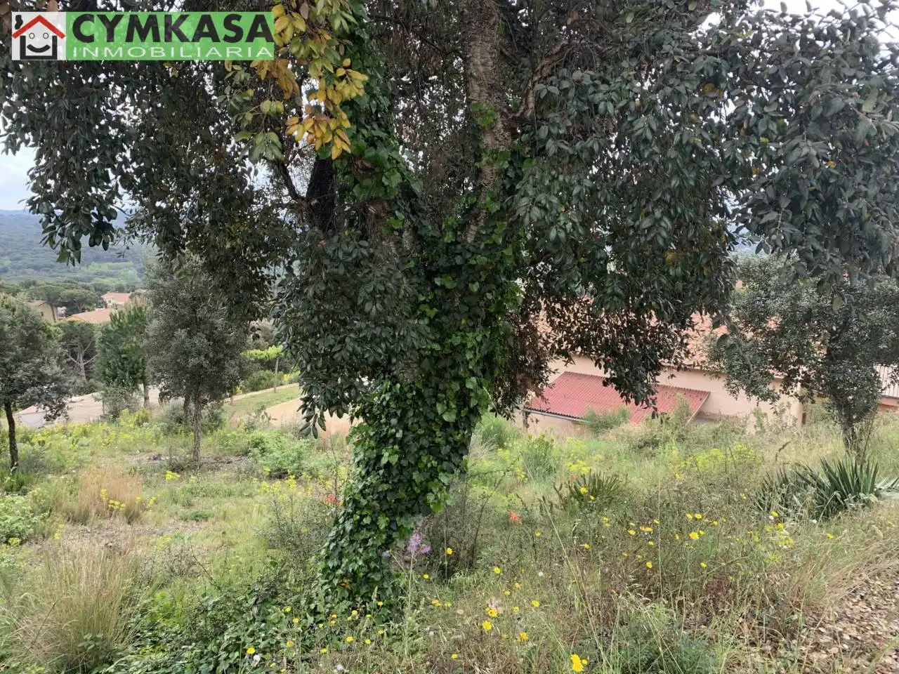 Terreno residencial en venta en Mas Mora - Sant Daniel, imagen 2