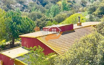 Exterior view of Country house for sale in Vélez-Rubio
