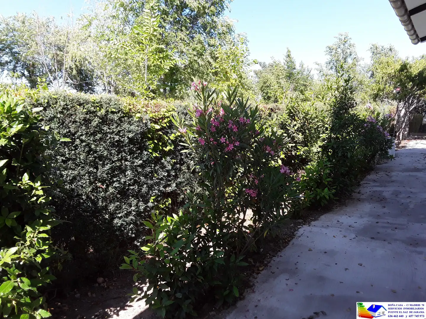 Jardín de Casa o chalet en venta en Fuente El Saz de Jarama con Aire acondicionado, Calefacción y Jardín privado