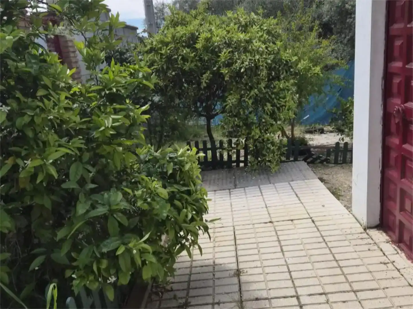 Pis en venda en La Carlota, Córdoba
