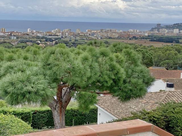 Casa-chalet en Alquiler en Ter en Puig Ses Forques - Torre Colomina