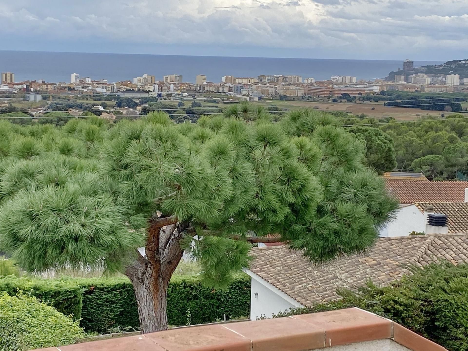 House or chalet to rent in Ter, Puig Ses Forques - Torre Colomina